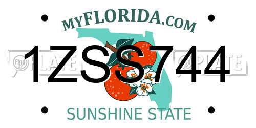 1ZSS744 Florida License Plate