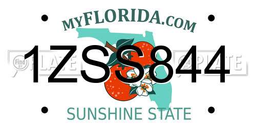 1ZSS844 Florida License Plate
