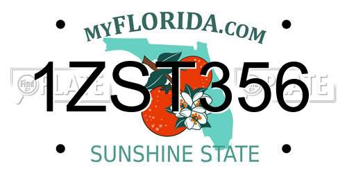 1ZST356 Florida License Plate