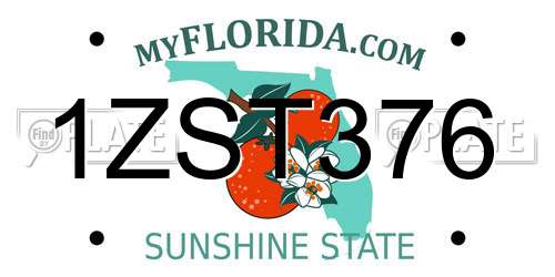 1ZST376 Florida License Plate