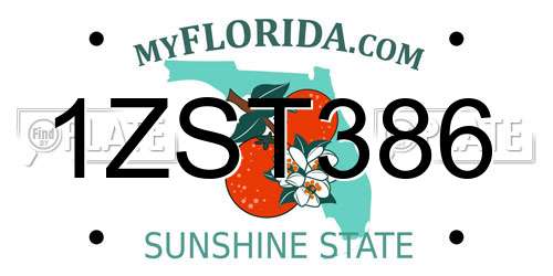 1ZST386 Florida License Plate