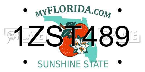 1ZST489 Florida License Plate