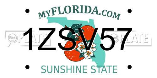 1ZSV57 Florida License Plate