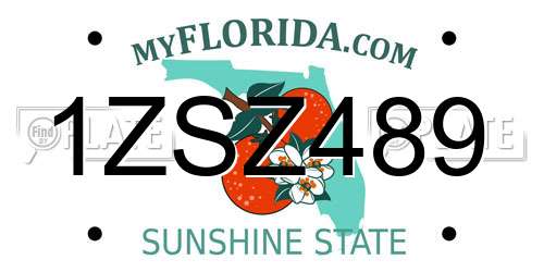 1ZSZ489 Florida License Plate