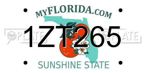 1ZT265 Florida License Plate