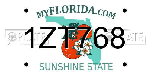 1ZT768 Florida License Plate