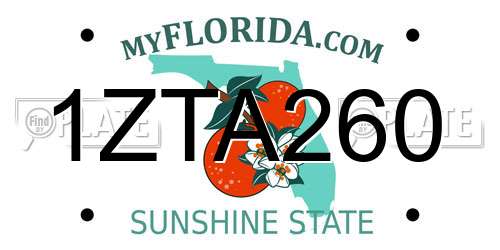 1ZTA260 Florida License Plate