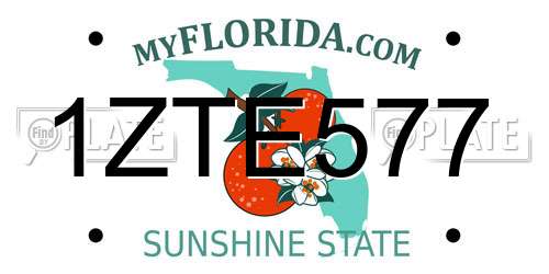 1ZTE577 Florida License Plate