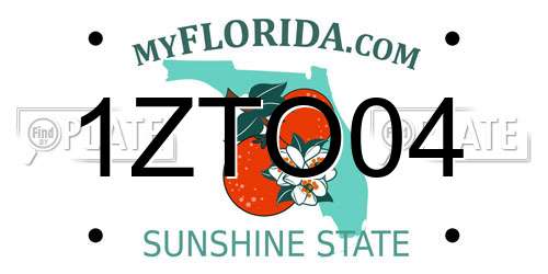 1ZTO04 Florida License Plate