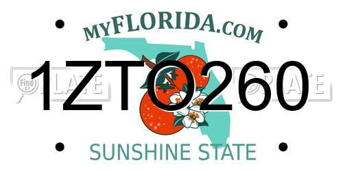 1ZTO260 Florida License Plate