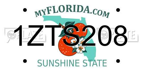 1ZTS208 Florida License Plate