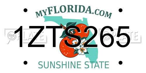 1ZTS265 Florida License Plate
