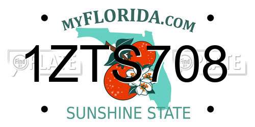 1ZTS708 Florida License Plate