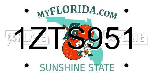 1ZTS951 Florida License Plate