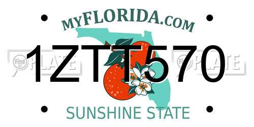 1ZTT570 Florida License Plate