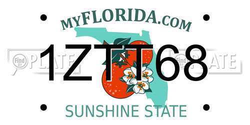 1ZTT68 Florida License Plate