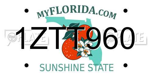 1ZTT960 Florida License Plate