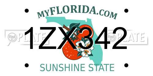 1ZX342 Florida License Plate