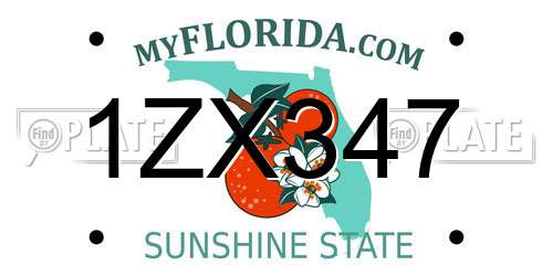 1ZX347 Florida License Plate