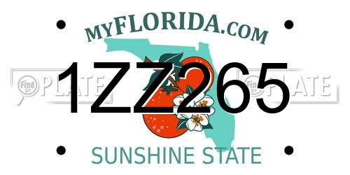 1ZZ265 Florida License Plate