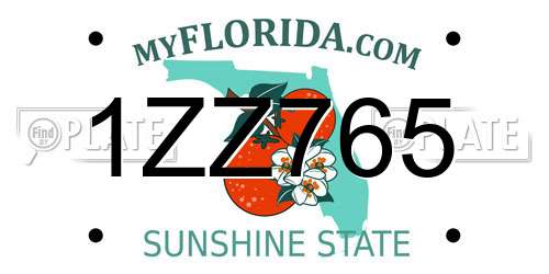 1ZZ765 Florida License Plate