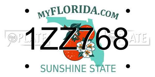1ZZ768 Florida License Plate