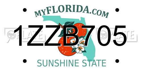 1ZZB705 Florida License Plate