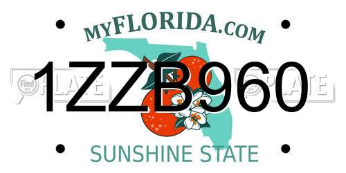 1ZZB960 Florida License Plate