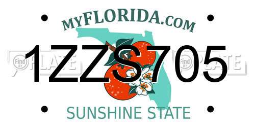 1ZZS705 Florida License Plate