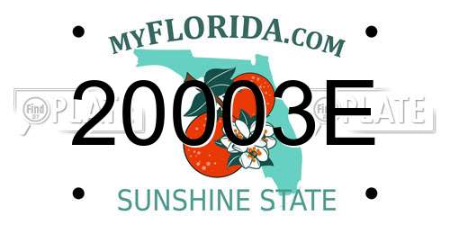 20003E Florida License Plate