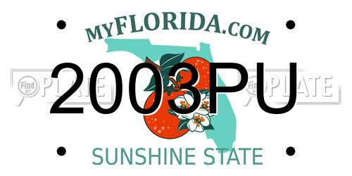 2003PU Florida License Plate