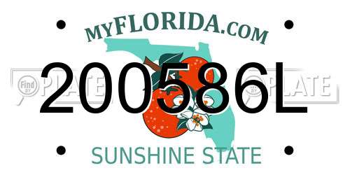 200586L Florida License Plate