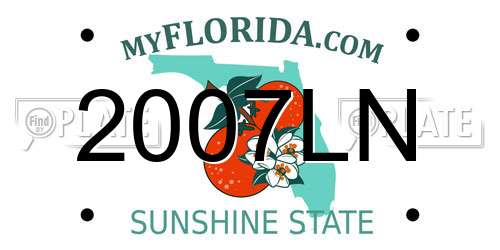 2007LN Florida License Plate
