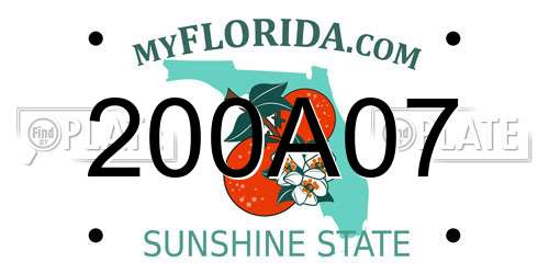 200A07 Florida License Plate