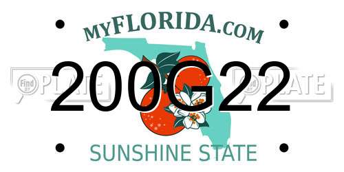 200G22 Florida License Plate
