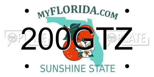 200GTZ Florida License Plate