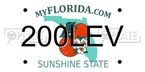 200LEV Florida License Plate