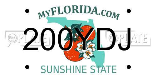 200YDJ Florida License Plate