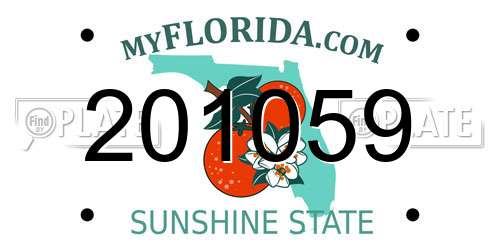 201059 Florida License Plate