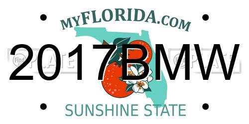 2017BMW Florida License Plate