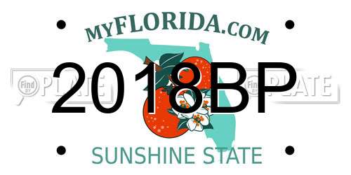 2018BP Florida License Plate