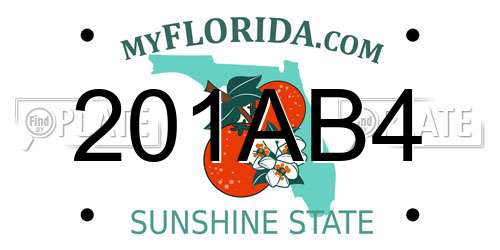 201AB4 Florida License Plate