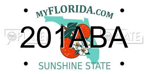 201ABA Florida License Plate