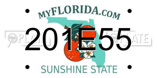 201E55 Florida License Plate