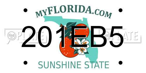201EB5 Florida License Plate
