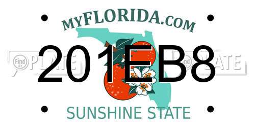 201EB8 Florida License Plate