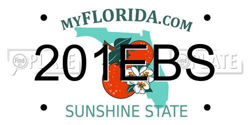 201EBS Florida License Plate