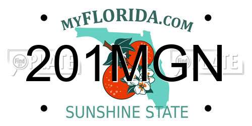 201MGN Florida License Plate