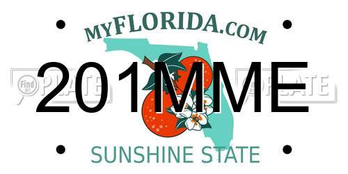 201MME Florida License Plate