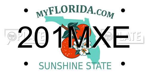 201MXE Florida License Plate